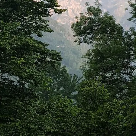 Sasa Boracko Jezero Jezero (Konjic)