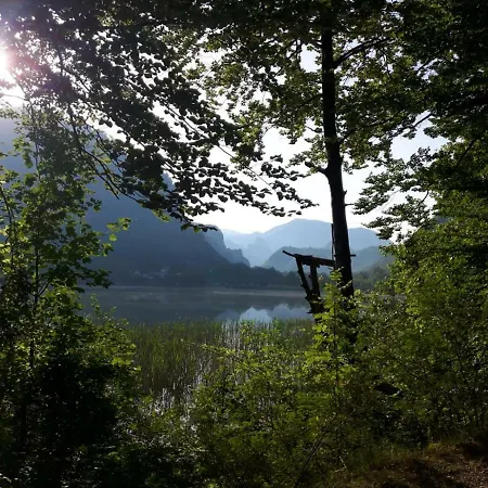 Sasa Boracko Jezero