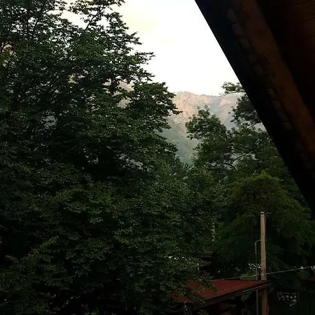 Sasa Boracko Jezero * Jezero (Konjic)